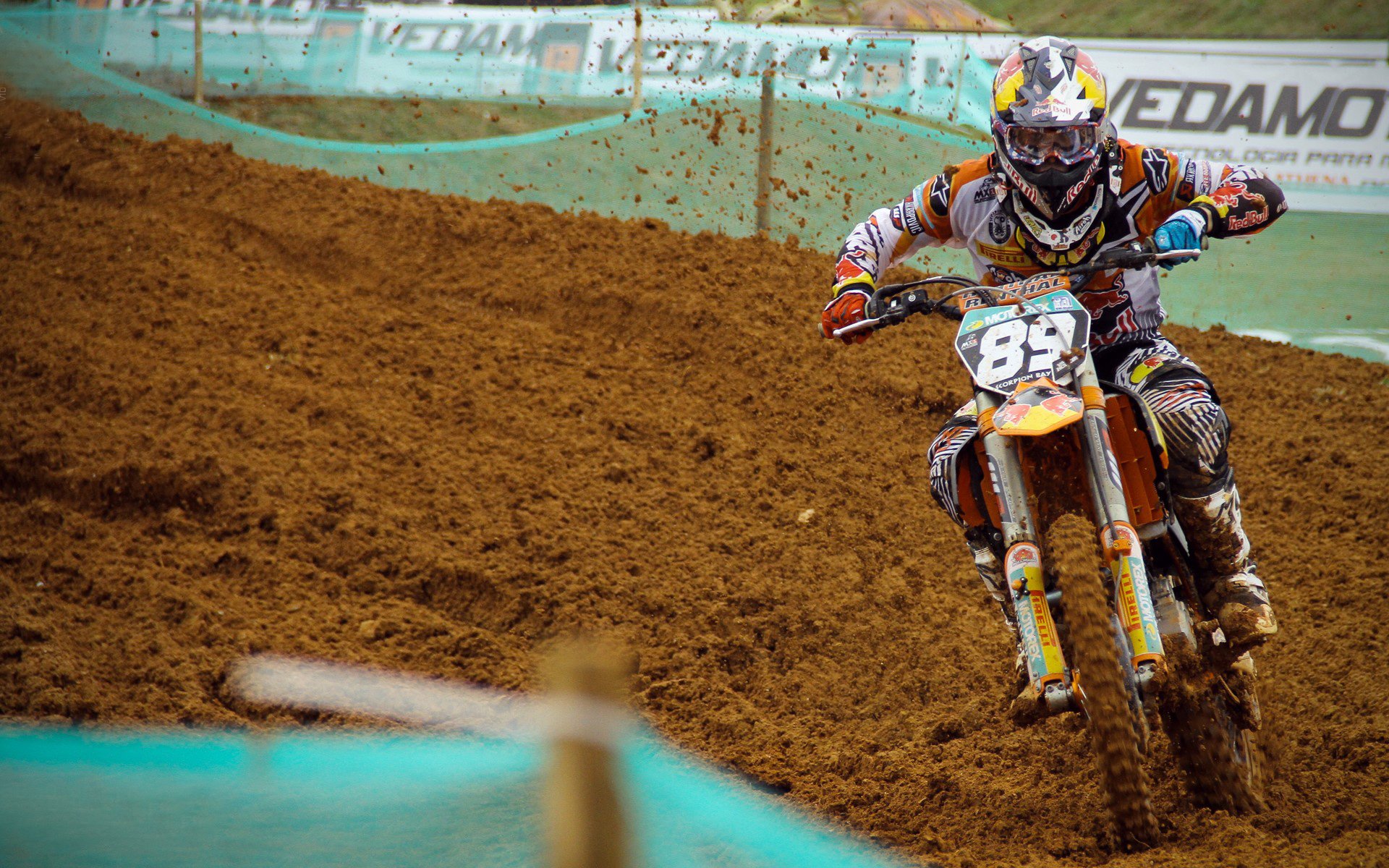 女足世界杯志愿者招募启动，女足世界杯举办国